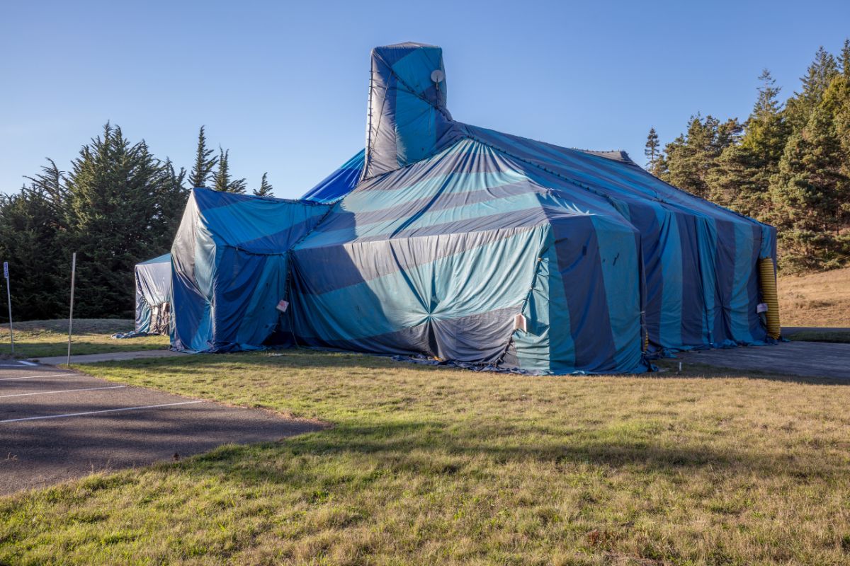 Oahu Termite Tenting and Homeowner Rights: What You Need to Know